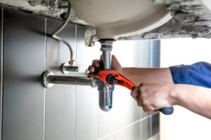 plumbers maui