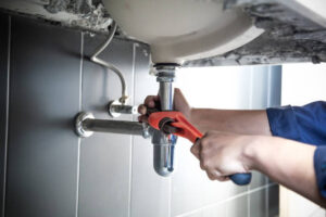 plumbers maui