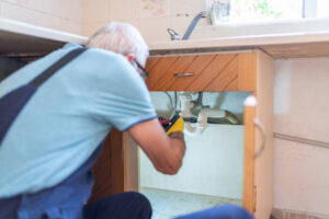 plumbers maui