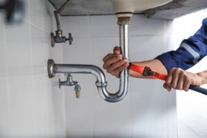 plumbers maui
