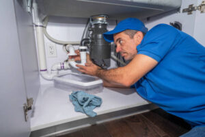 plumbers maui