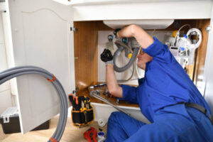 plumbers maui