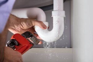 plumbers maui