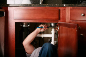 plumbers maui