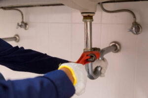 plumbers maui